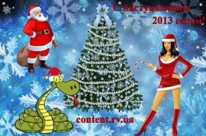 С новым 2013 годом!